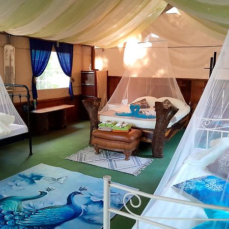 Fully Furnished Family Jungle Tent, Latino Glamping Paquera Extérieur photo
