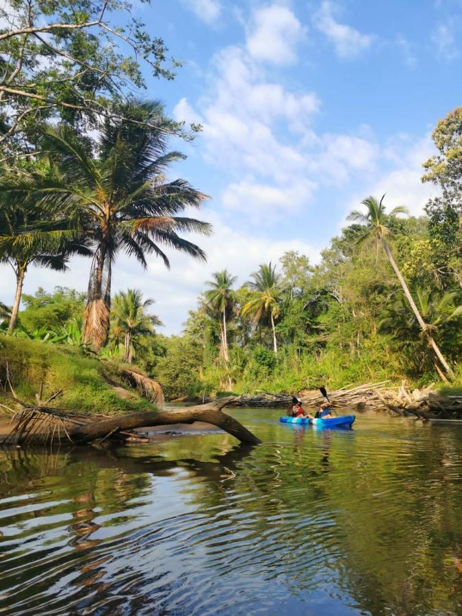 Fully Furnished Family Jungle Tent, Latino Glamping Paquera Extérieur photo