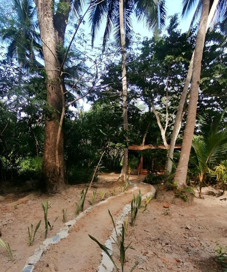 Fully Furnished Family Jungle Tent, Latino Glamping Paquera Extérieur photo
