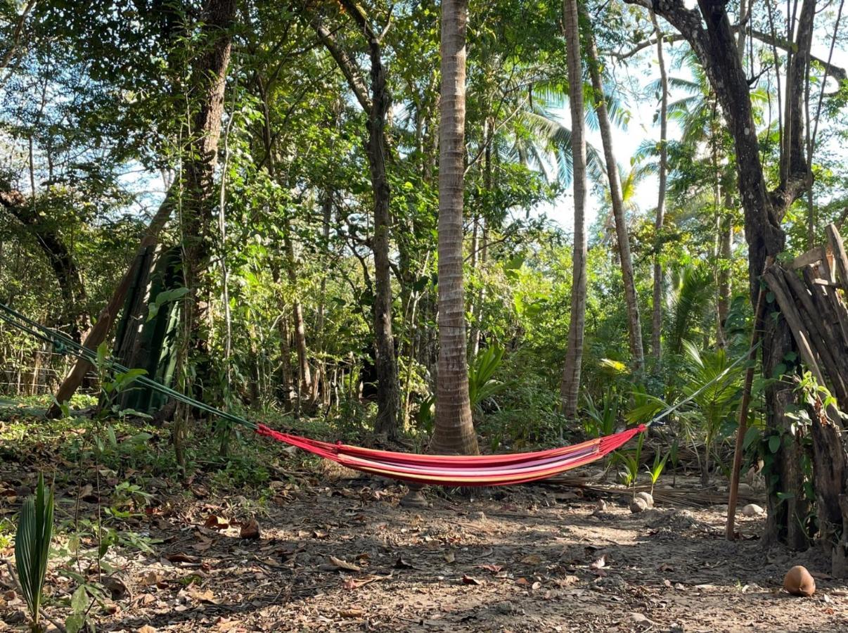 Fully Furnished Family Jungle Tent, Latino Glamping Paquera Extérieur photo