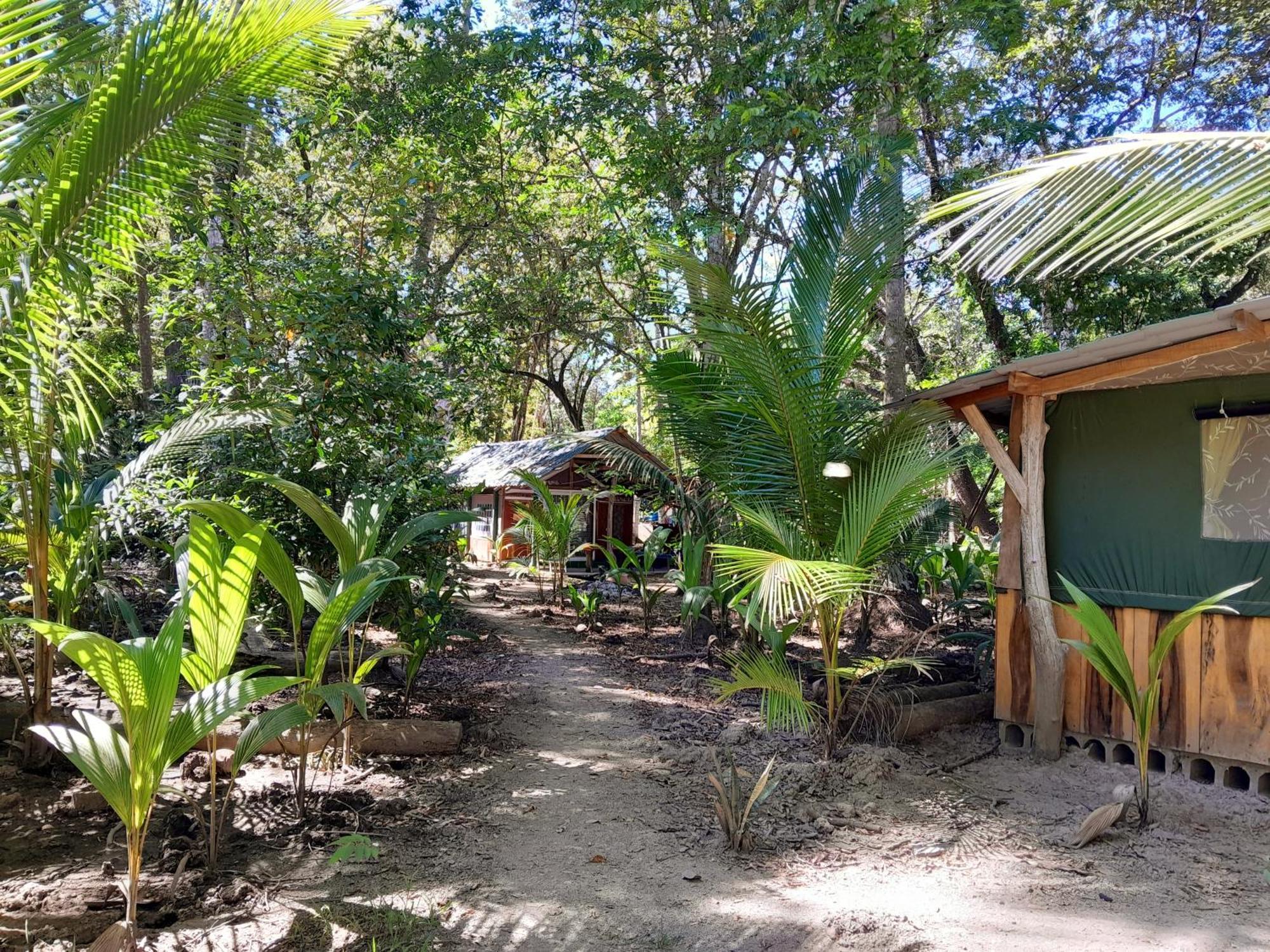 Fully Furnished Family Jungle Tent, Latino Glamping Paquera Extérieur photo