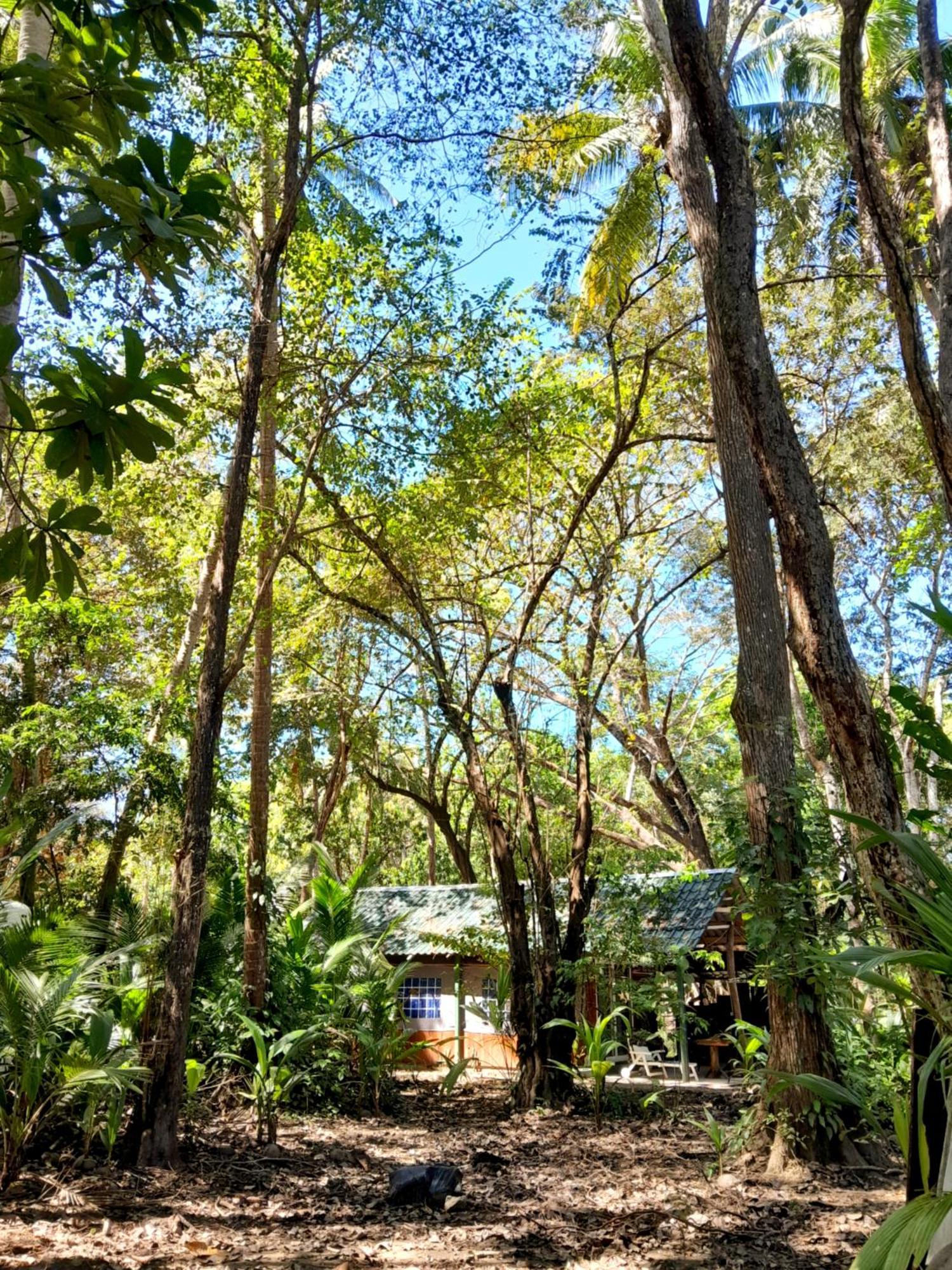 Fully Furnished Family Jungle Tent, Latino Glamping Paquera Extérieur photo