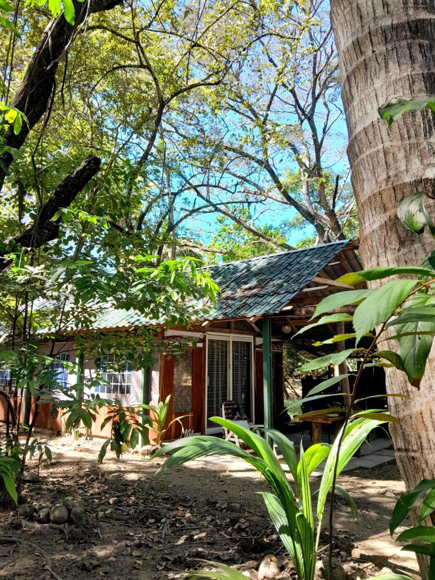 Fully Furnished Family Jungle Tent, Latino Glamping Paquera Extérieur photo