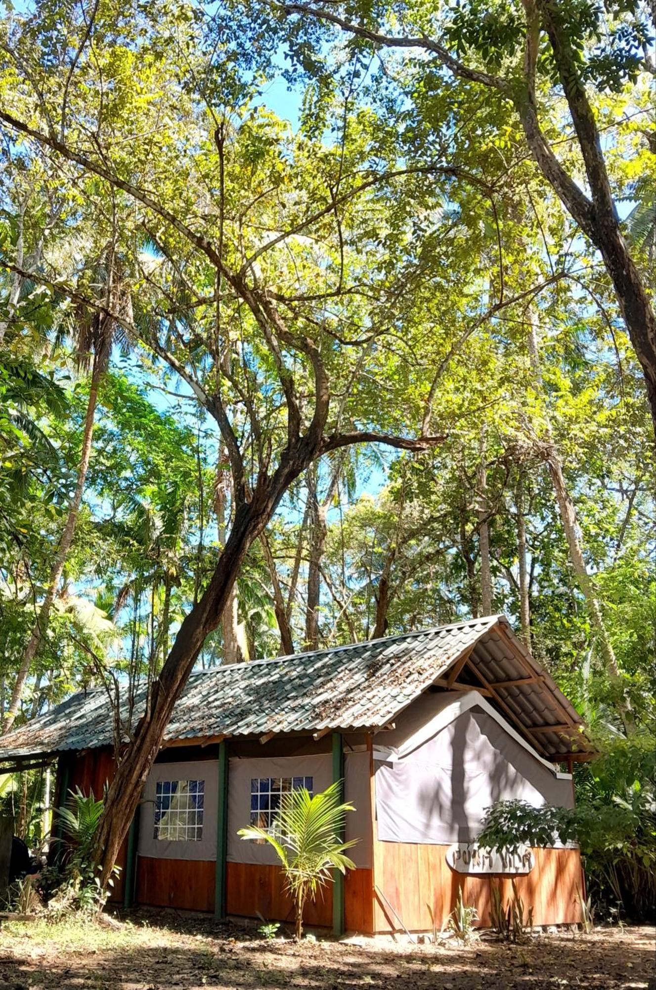 Fully Furnished Family Jungle Tent, Latino Glamping Paquera Extérieur photo