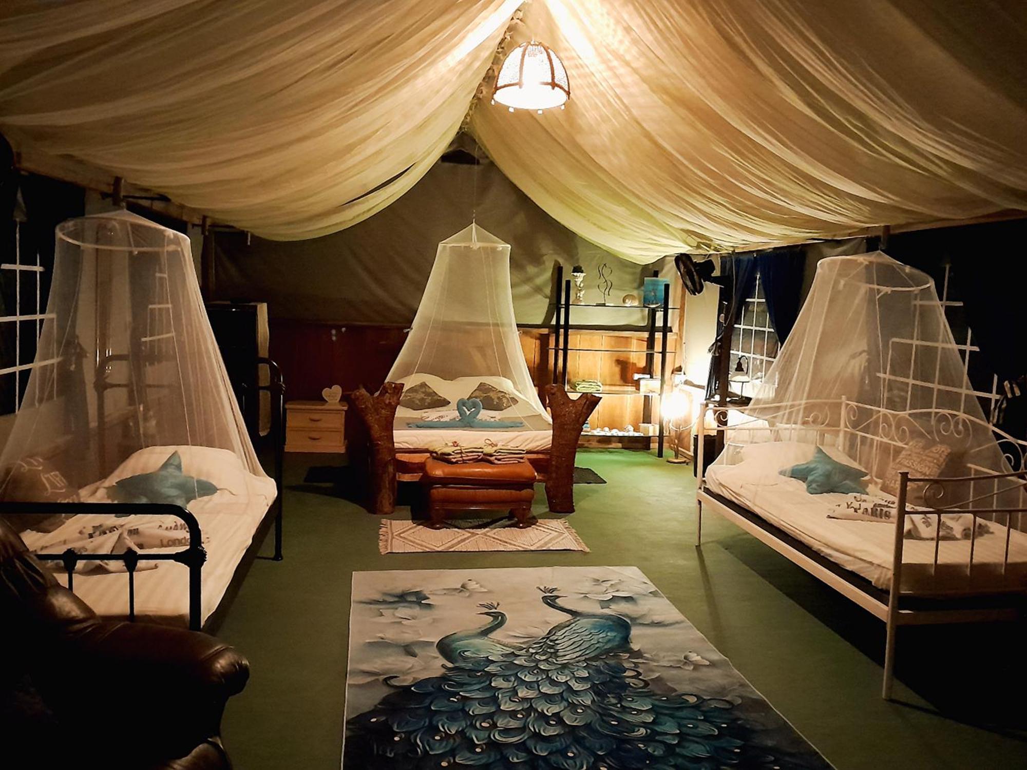 Fully Furnished Family Jungle Tent, Latino Glamping Paquera Extérieur photo