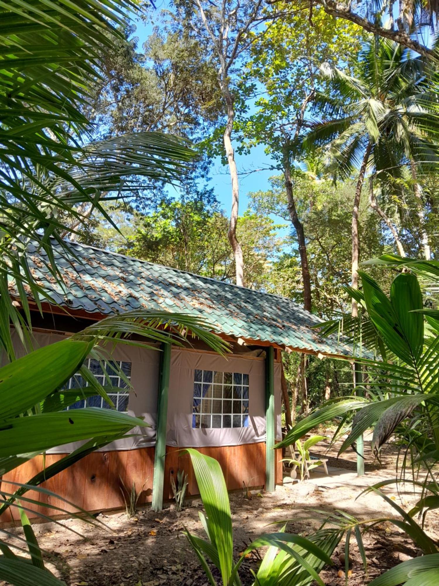 Fully Furnished Family Jungle Tent, Latino Glamping Paquera Extérieur photo