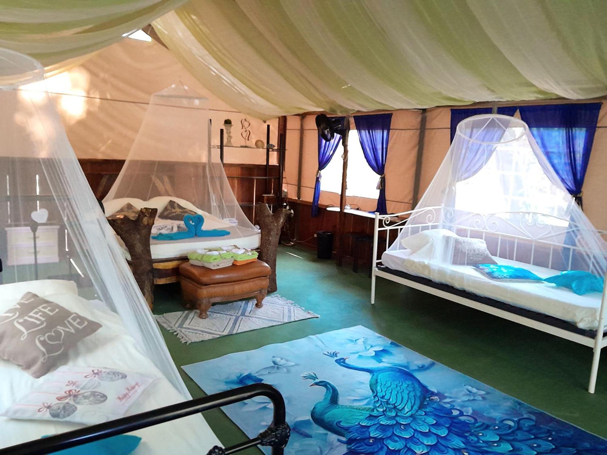 Fully Furnished Family Jungle Tent, Latino Glamping Paquera Extérieur photo
