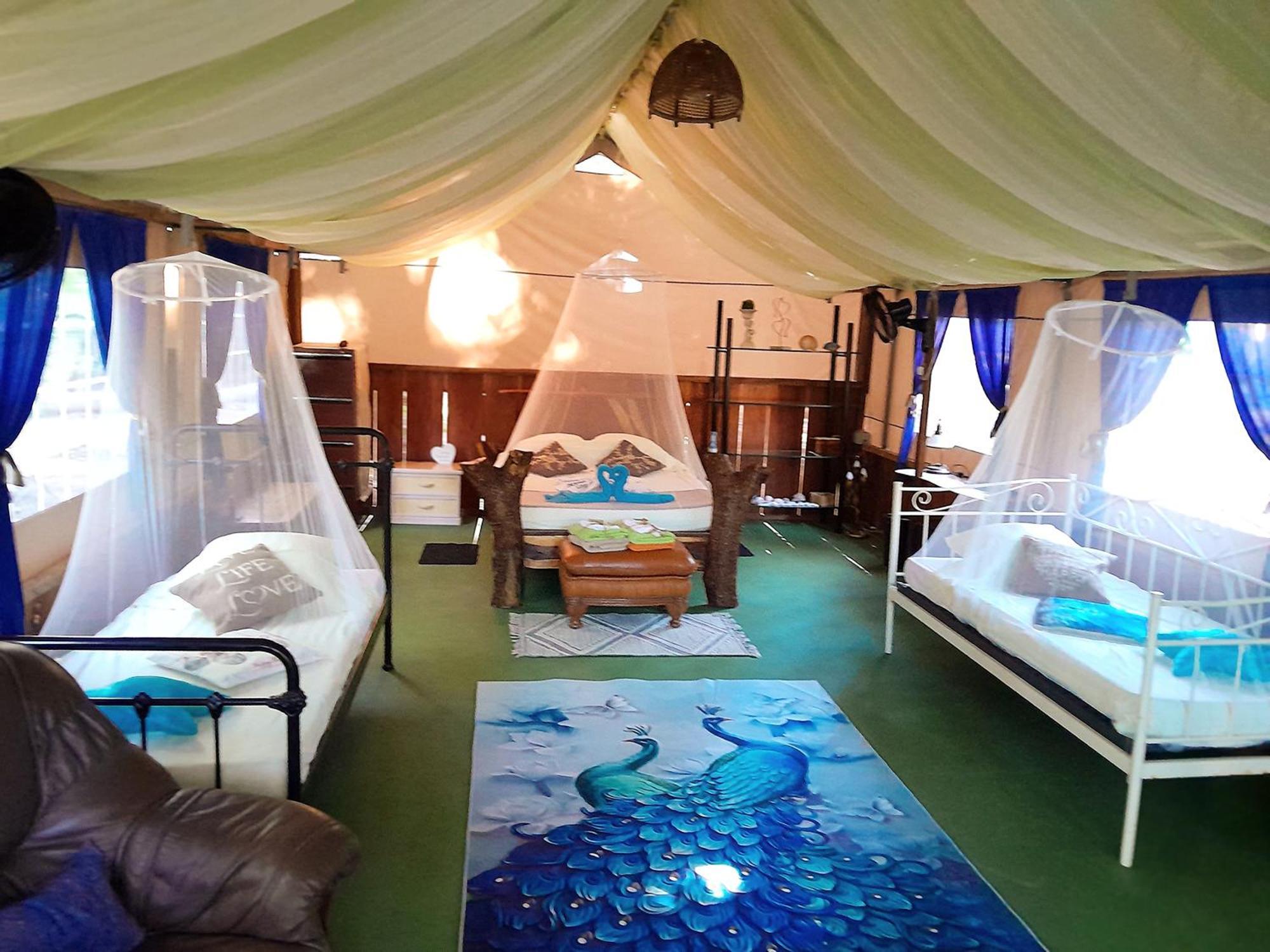 Fully Furnished Family Jungle Tent, Latino Glamping Paquera Extérieur photo