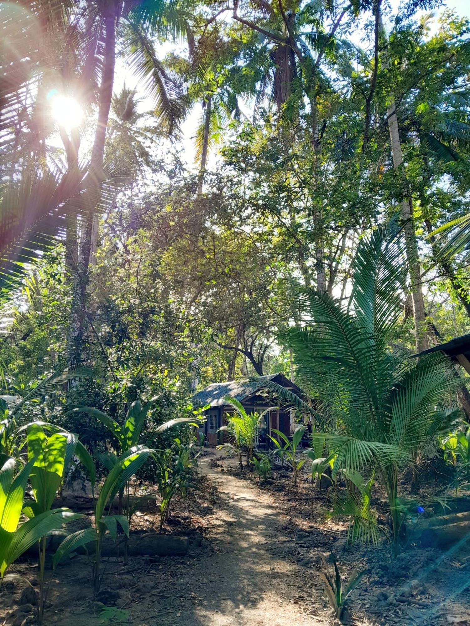 Fully Furnished Family Jungle Tent, Latino Glamping Paquera Extérieur photo